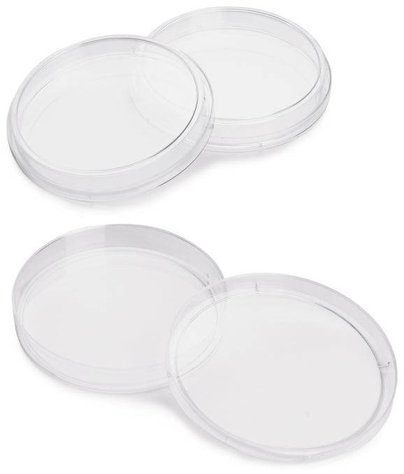 Dish, Petri, 15 x 100 mm, pk/20