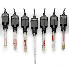 Intellical Probes